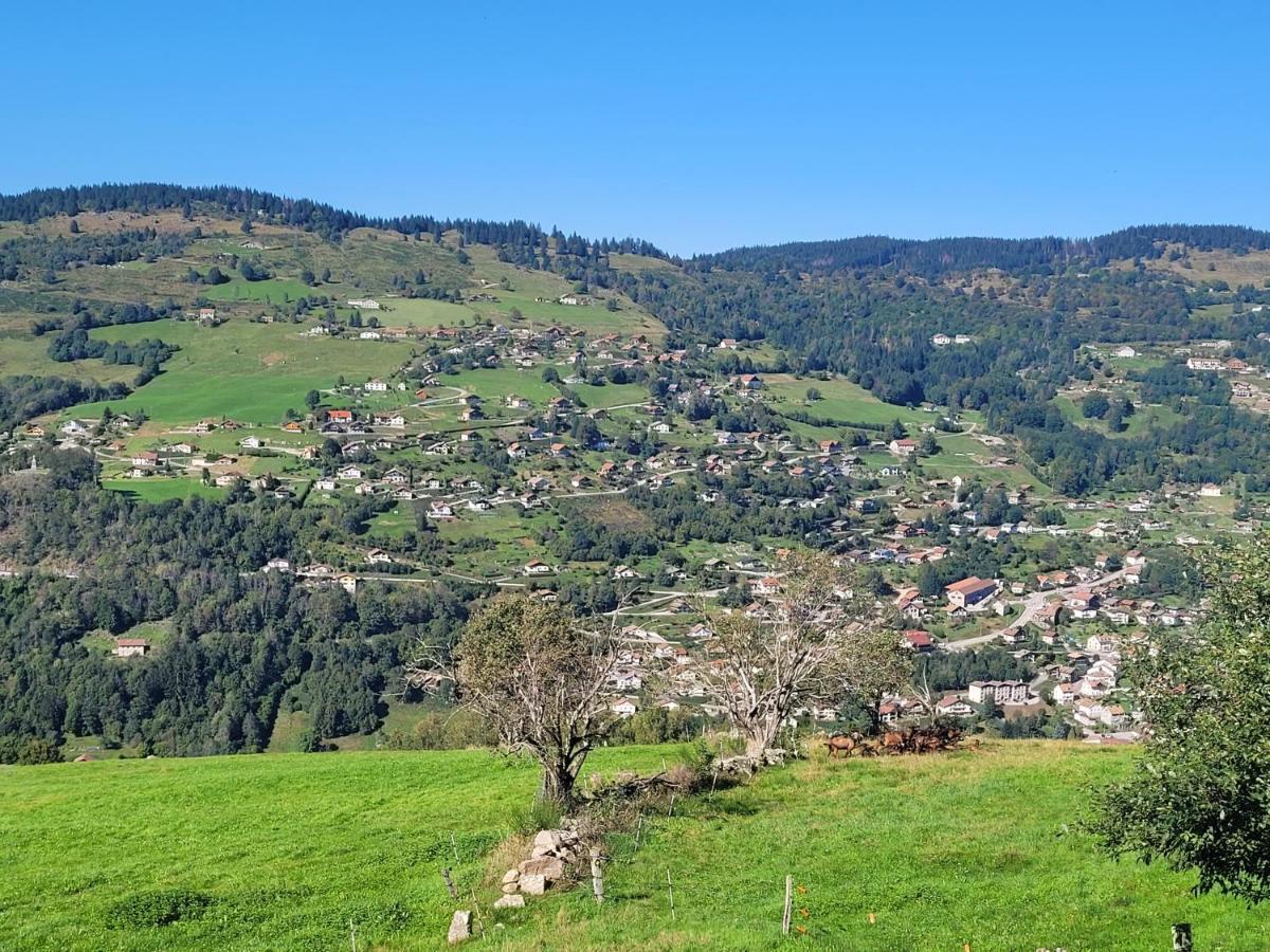 Maison Chaleureuse La Meybel La Bresse Exterior foto